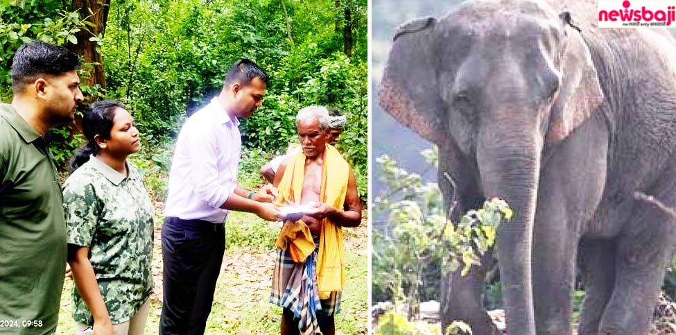 जशपुर जिले के तपकरा इलाके में हाथ‍ियों ने महिला को कुचलकर मार डाला और एक ग्रामीण घायल है.