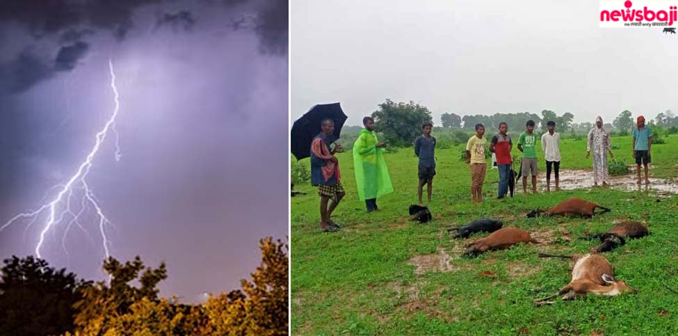 आकाशीय बिजली गिरने से अलग-अलग घटनाएं सामने आई हैं.