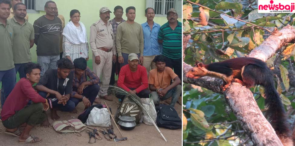 सीतानदी उदंती अभयारण्य में इंद्रधनुषी गिलहरी का शिकार करने वालों को गिरफ्तार कर लिया गया है.